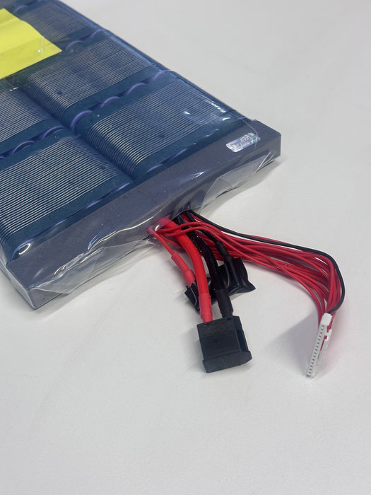 14S4P Lishen LR2170LA Battery Pack