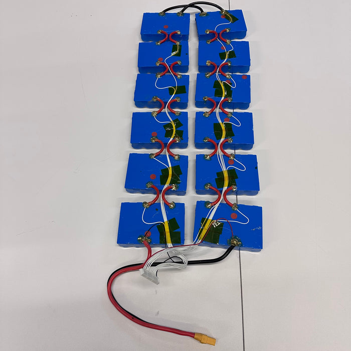 12S5P P42A Segmented Battery - Lacroix