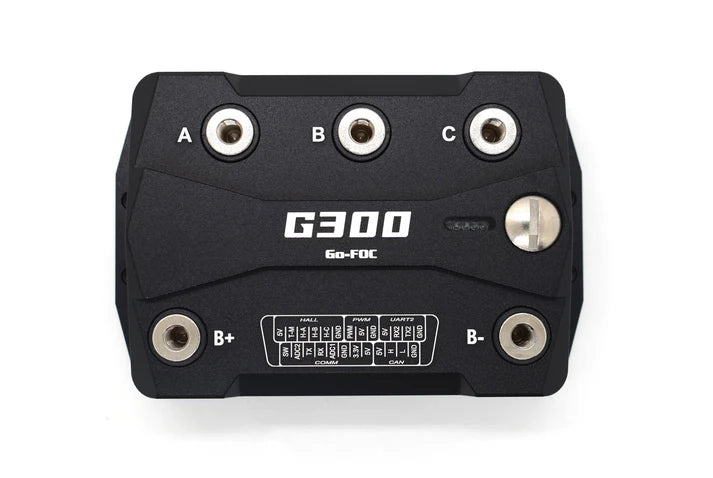 MakerX | G300